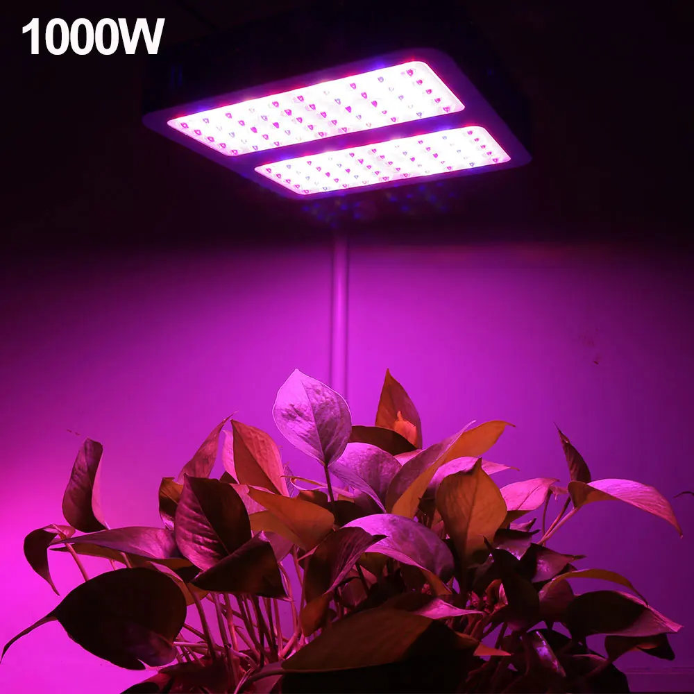 1000w