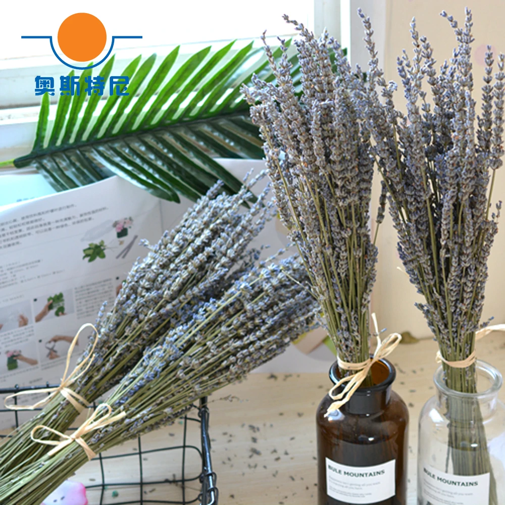 ドライナチュラルフラワーブーケ 0g イングリッシュラベンダー コンポジション Artificial Dried Flowers Aliexpress ドライナチュラルフラワーブーケ 0g イングリッシュラベンダー コンポジション Artificial Dried Flowers Aliexpress