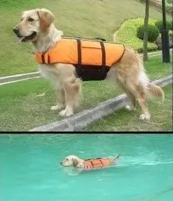 Высокое качество собака спасательный Спасательные жилеты наружу борзая заставка собака Одежда заплыва Хранитель XS-XL