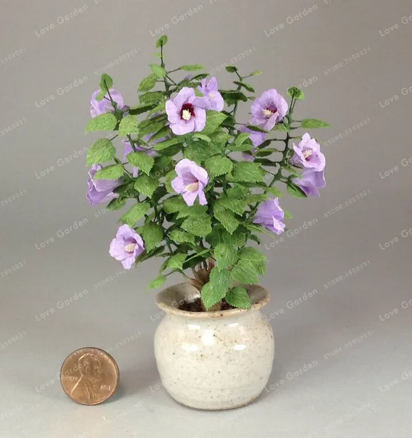 100Pcs Mini Hibiscus Flower Bonsai Hibiscus Syriacus Flower Bonsai DIY