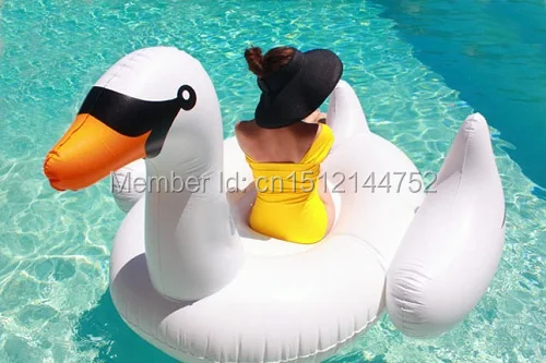 inflatable gaint swan flat (10)