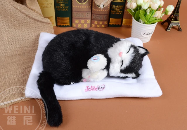https://ae01.alicdn.com/kf/HTB1DV_jMpXXXXcQXFXXq6xXFXXXu/sleeping-cat-about-30cm-black-cat-snoring-breathing-cat-soft-toy-model-polyethylene-furs-resin-handicraft.jpg_640x640.jpg