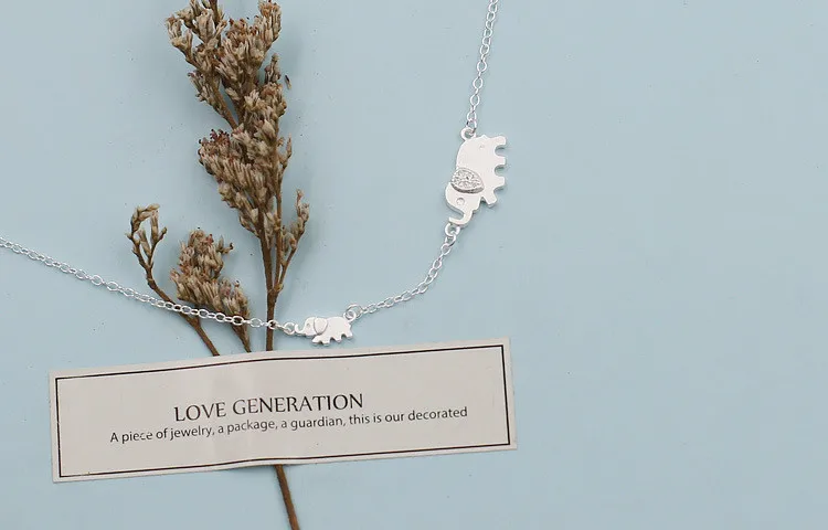 4145130205_717013591