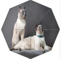 1 (16)