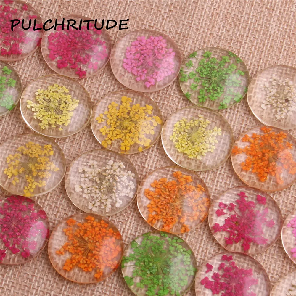 PULCHRITUDE 10 шт./лот 20 мм 25 смешанные Натуральные сушеные цветы с плоской задней