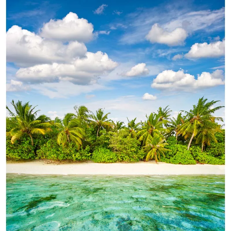 

Thin Vinyl Photography Background Baby Blue Sea Beach Backdrop Photos F-2648