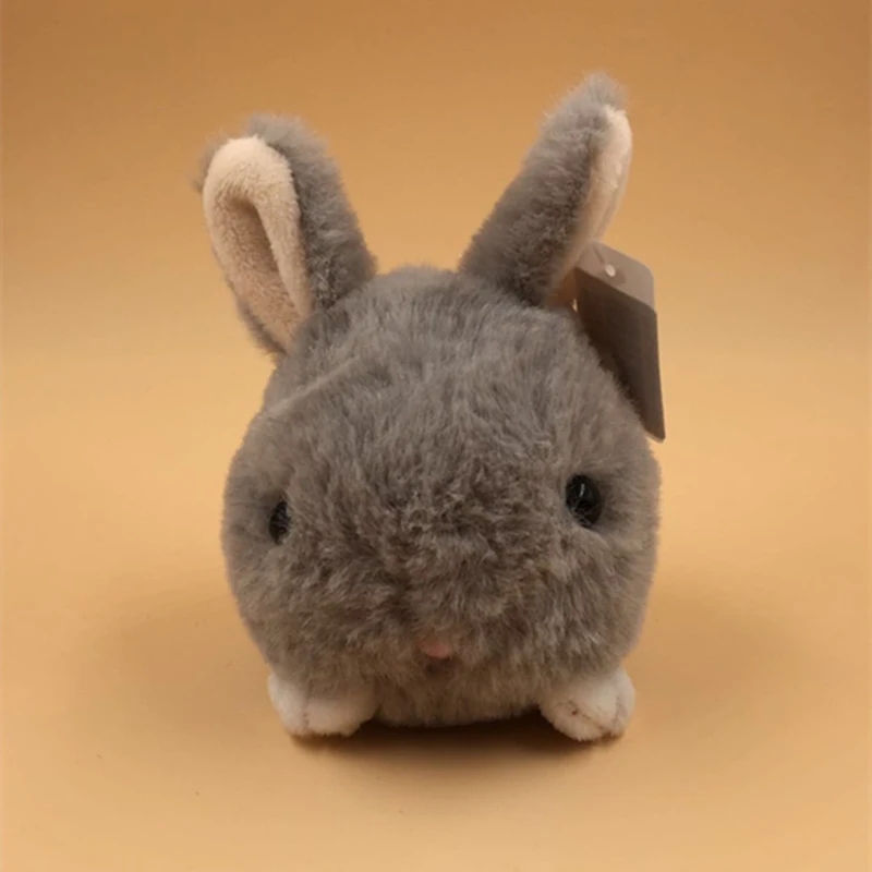 rabbit (4)