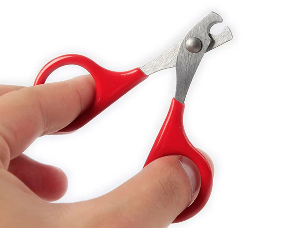 1 PCS Metallic red scissors for cats Solid and durable scissors for claws cat cats products for pets cat nails                   (11)