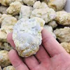 Natural unopened agate geode Rock Agate crystal stone Teaching specimen 5
