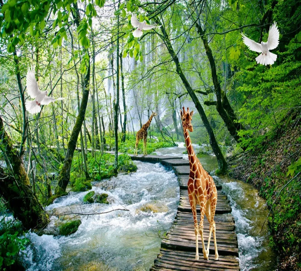 conew_forest wallpaper (1)