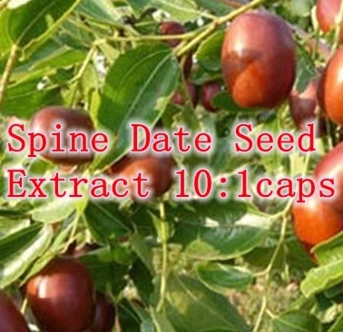 

100% nature Spine Date Seed Extract 10:1caps 500mg x 300pcs free shipping
