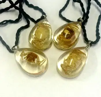 

FREE SHIPPING 12 PCS CRAB LUCITE PENDANT INSECT JEWELRY TAXIDERMY GIFT
