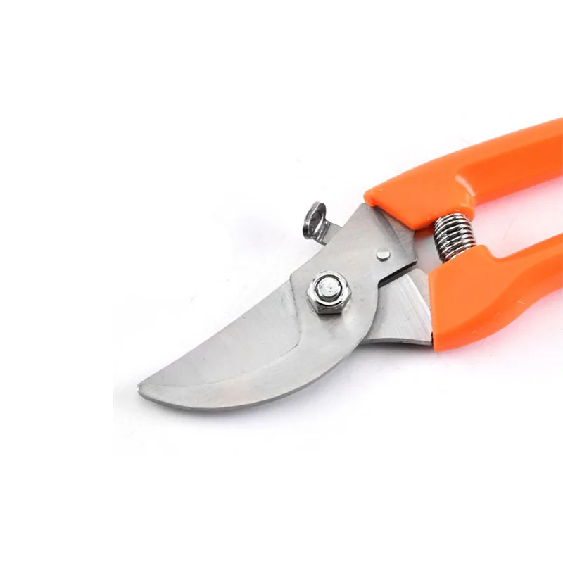 

Hot sale of multi-functional creative sharp pruning shears garden scissors fruiting branches pruning garden tools in stock