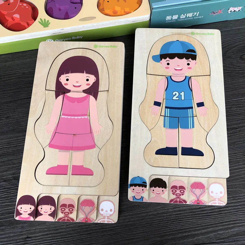 Wooden Human Body Puzzle Children Educational ToysBoys Girls Body