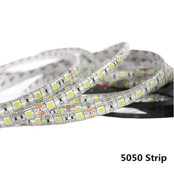 

5M/Roll Waterproof 12V LED Strip Light 5050 RGB Pink Ice Blue Red Green White Yellow Diode Tape LED Lamp Home Holiday Decoration