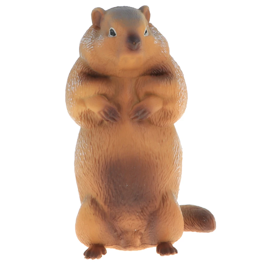 2pcs Simulation Wildlife Animal Model Figurine Kids Science & Nature Toy Collection Home Decoration Party Favors- Marmot