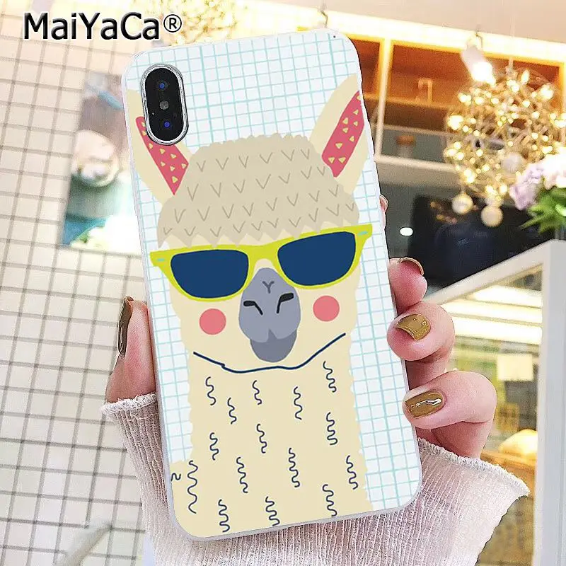 Lama Llama Alpacas Animal