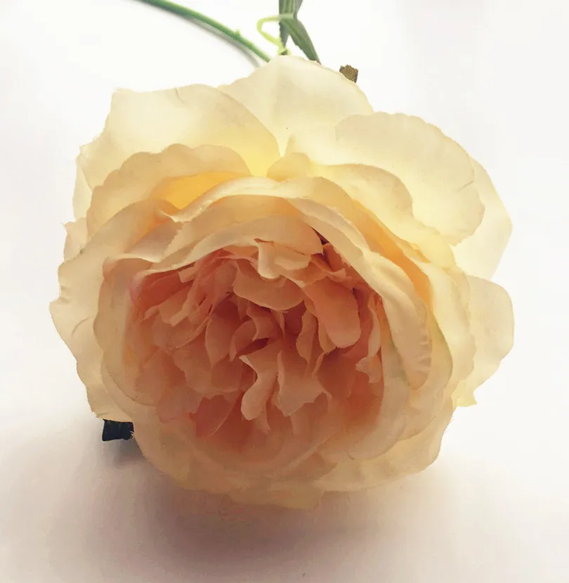 10 шт. поддельный эффект масляной живописи Австралия розы стол цветок 15,7" для свадьбы центральный Рождественский искусственный Декор