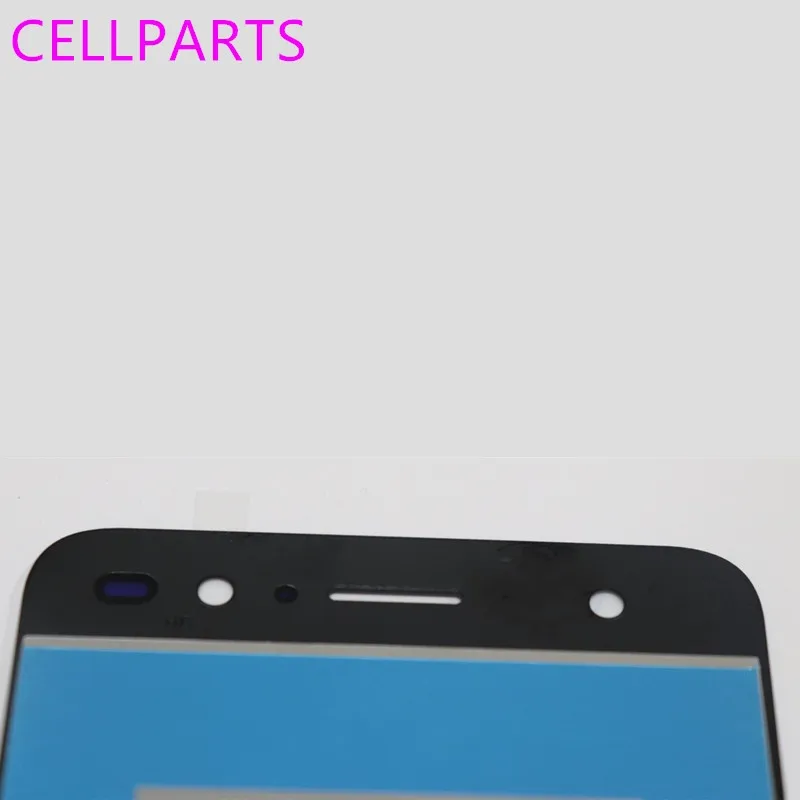 V7 lite-1