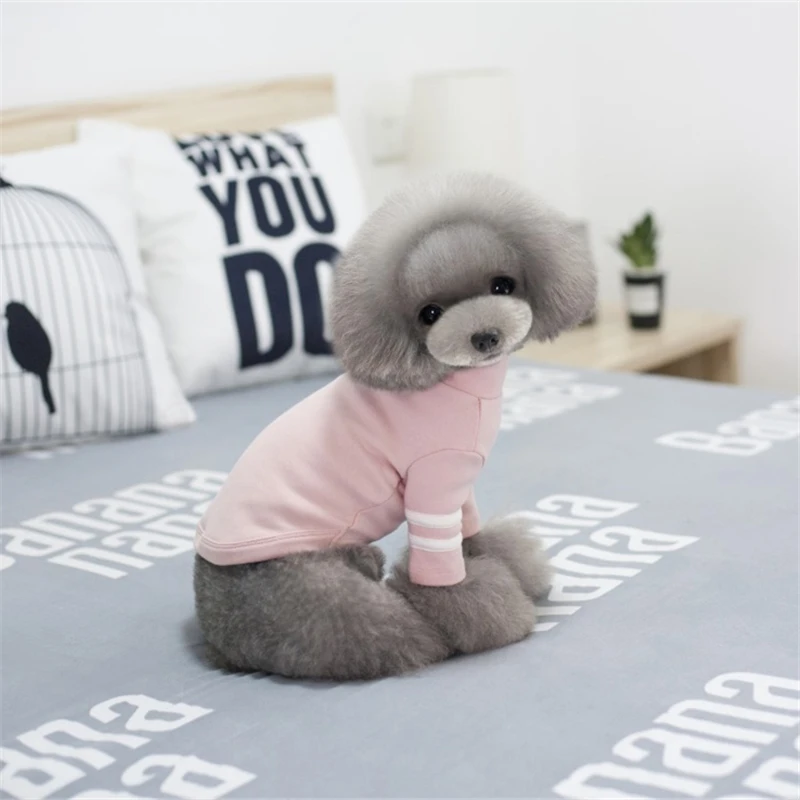 dog fashion clothes (4)