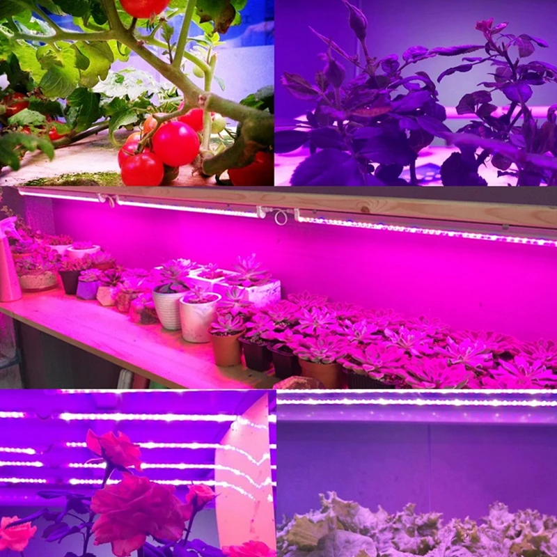 ReBlue лампа для растений светодиодный светильник для выращивания Фито лампа 12 Вт T5 лампа для растений полный спектр Светодиодная лампа для выращивания рассада растений фито-лампа для помещений