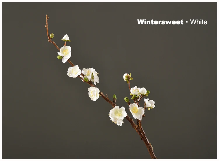 26 Wintersweet Product Image