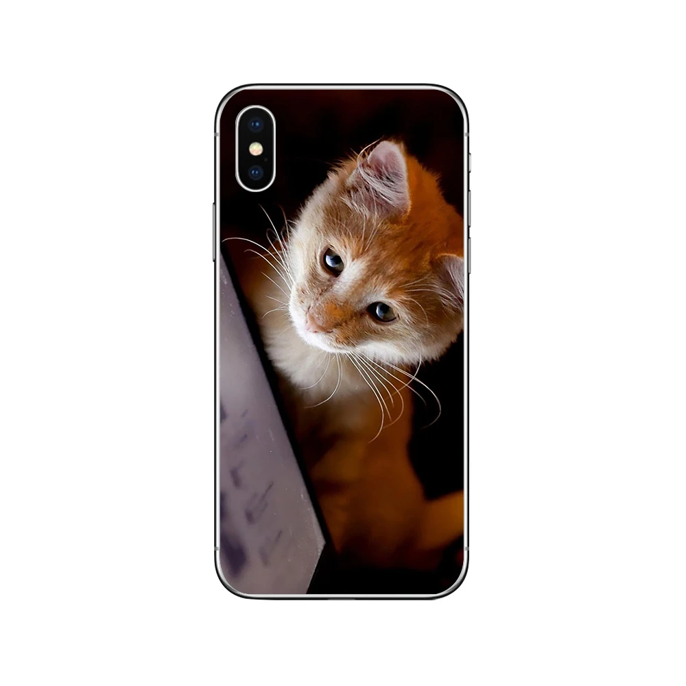Чехлы для телефонов ciciber с милым котом котенком для iPhone 11 Pro XR X XS MAX Funda Coque для Iphone 7 8 5S 6 6S Plus SE Мягкий ТПУ чехол Капа - Цвет: Patterned 3