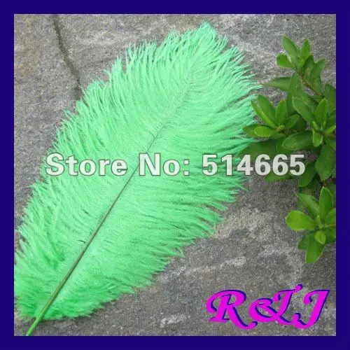 Wholesale 50PCS 16 18" 40 45cm green single OSTRICH FEATHER ostrich