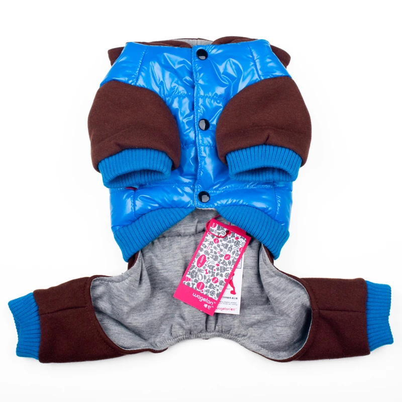 5 dog clothes