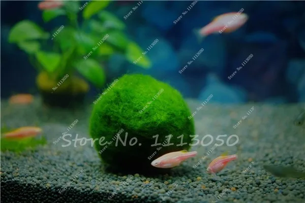 099