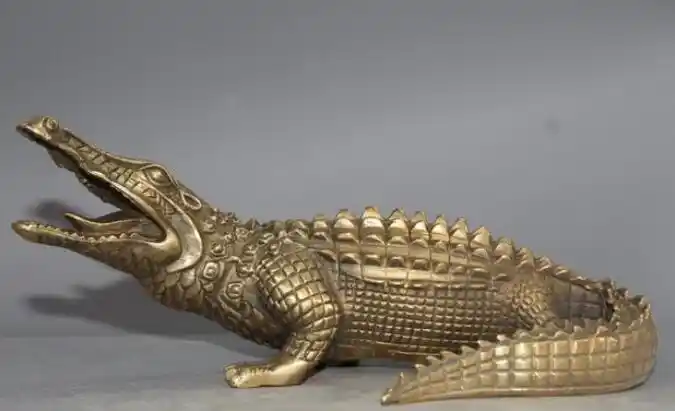 animal lacoste