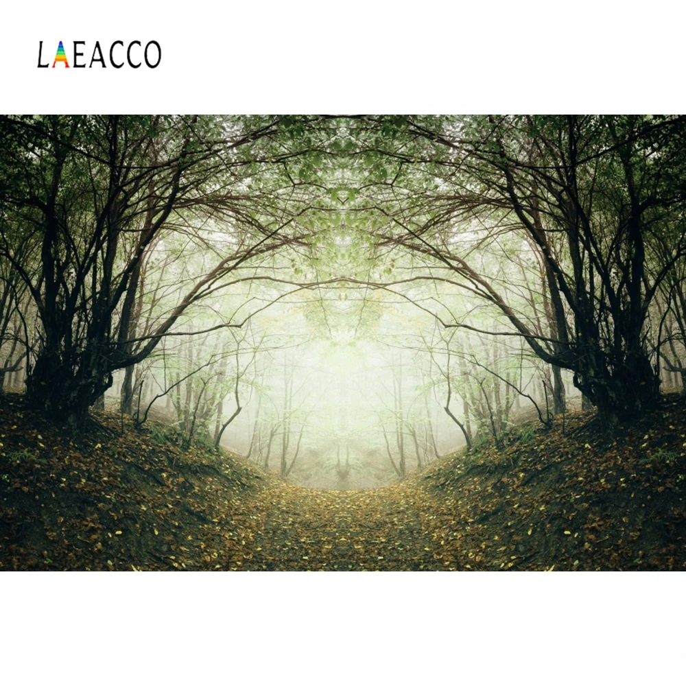 Laeacco осенний лес туман природа живописные фотографии фоны персонализированные