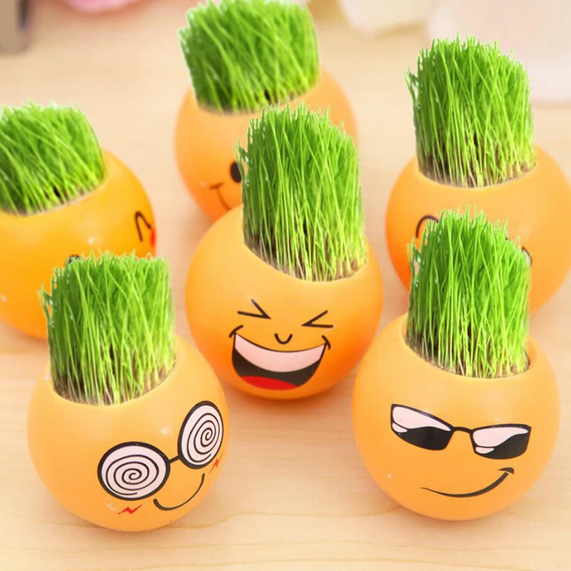 Cute Face Expression Pots Plant Gr Cool Men Office Work Desk Home Cute Face Expression Pots Plant Gr Cool Men Office Work Desk Home Decor Grow Pot Mini Magical Plants In Bonsai From Garden On Aliexpress