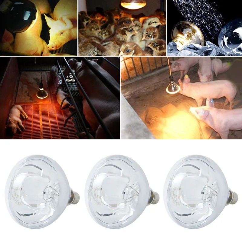 

E27 Screw Piglet Breeding Infrared Heat Lamp Bulb Waterproof Explosion-Proof Flat Surface 220V