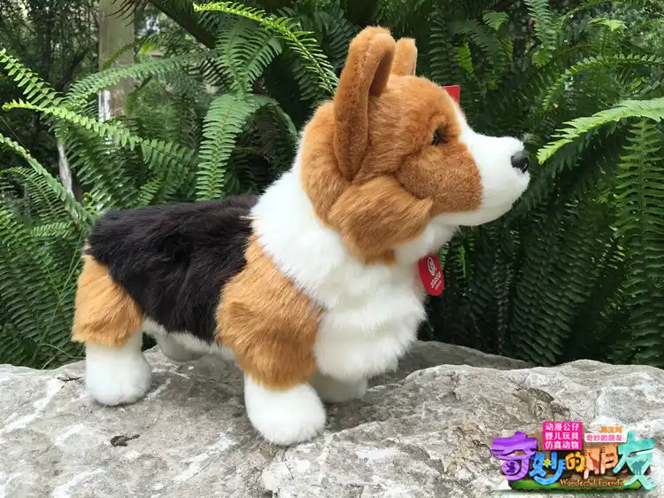 plush corgi dog