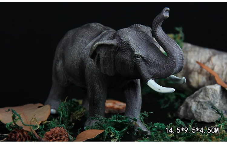 4316257916_893026222 - 