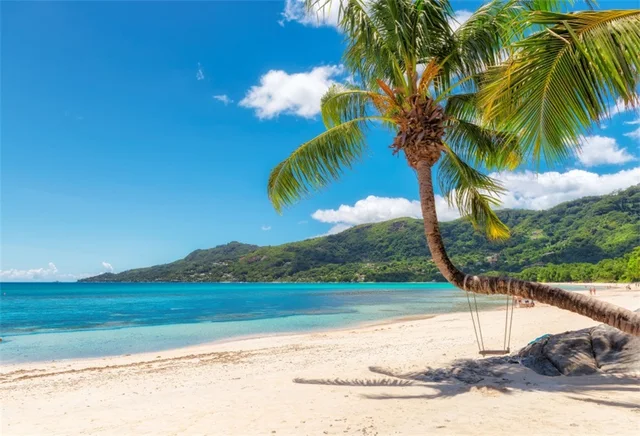 laeacco tropical backdrops sea