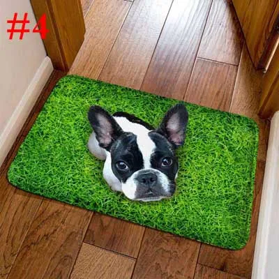 BLRISUP фланель забавные коврик у входной двери животные собака кошка печати пол ковры для гостиная спальня Нескользящие Коврики для кухни - Цвет: 4