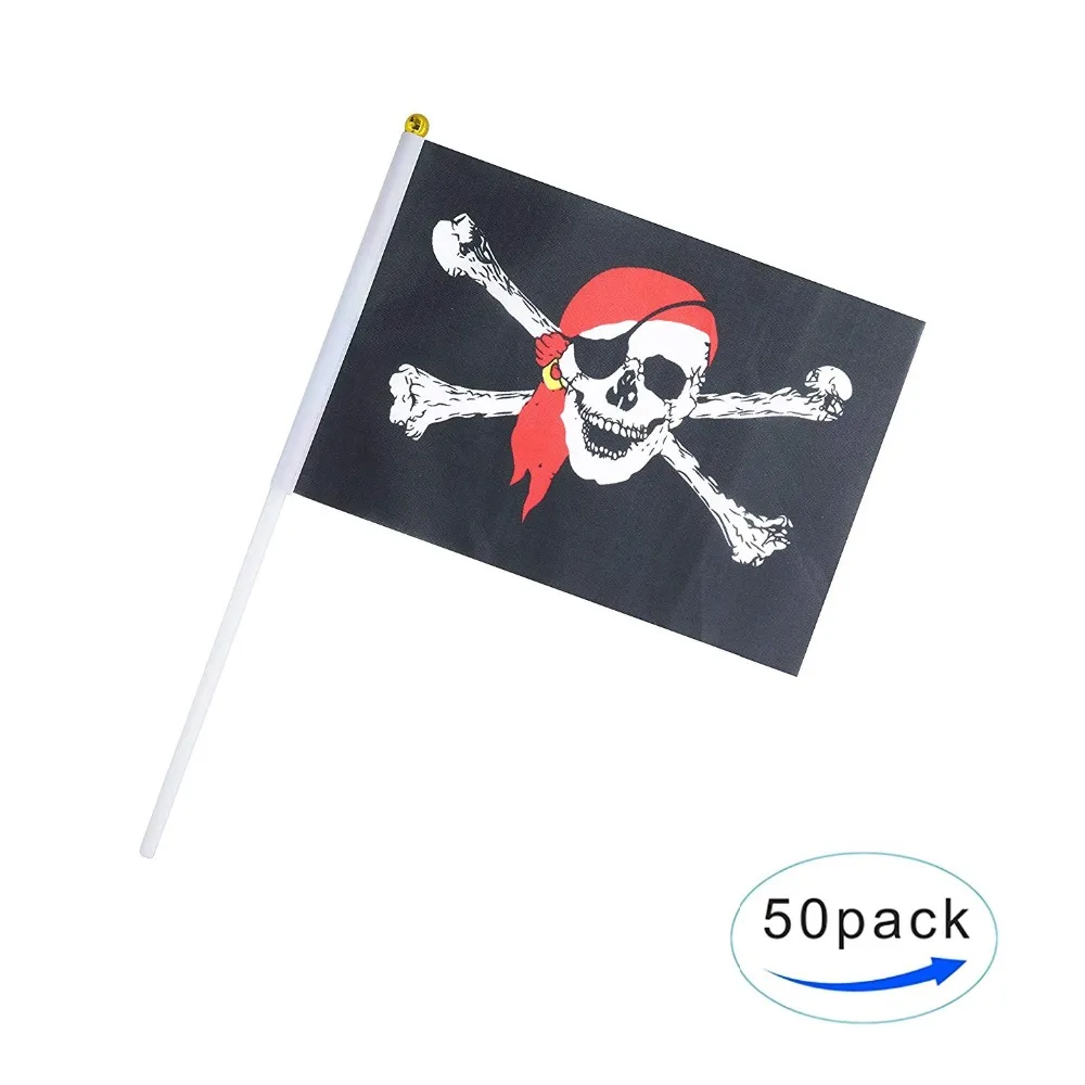 Hand Held Pirate Flag (6)