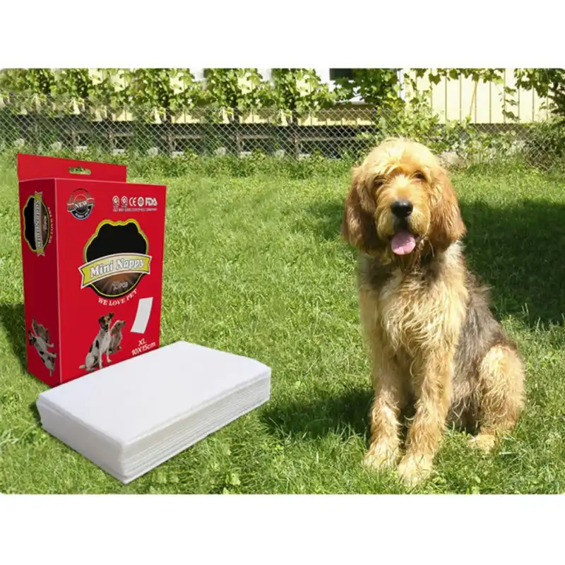 female dog menstrual pads