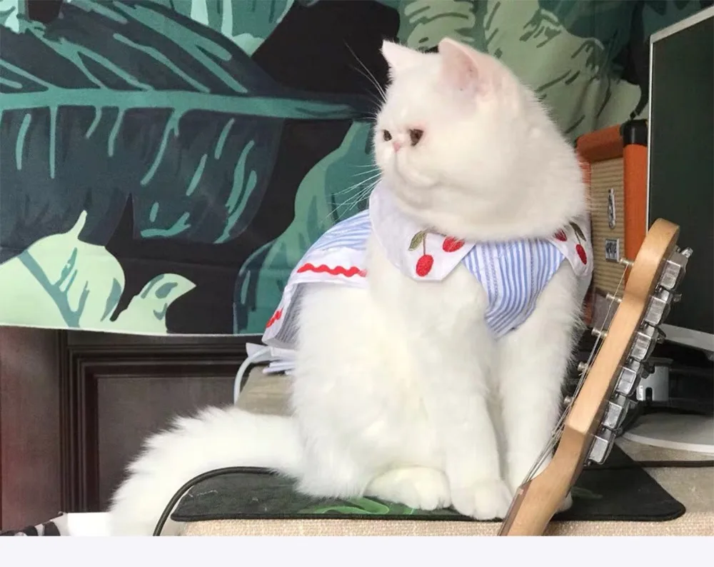 微信图片_20190604215333