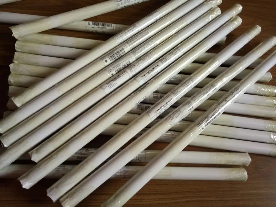 Human Body Anatomical Chart Muscular System Campus Knowledge Biology 