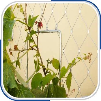

stainless steel plant support net/plant trellis net/plant fence