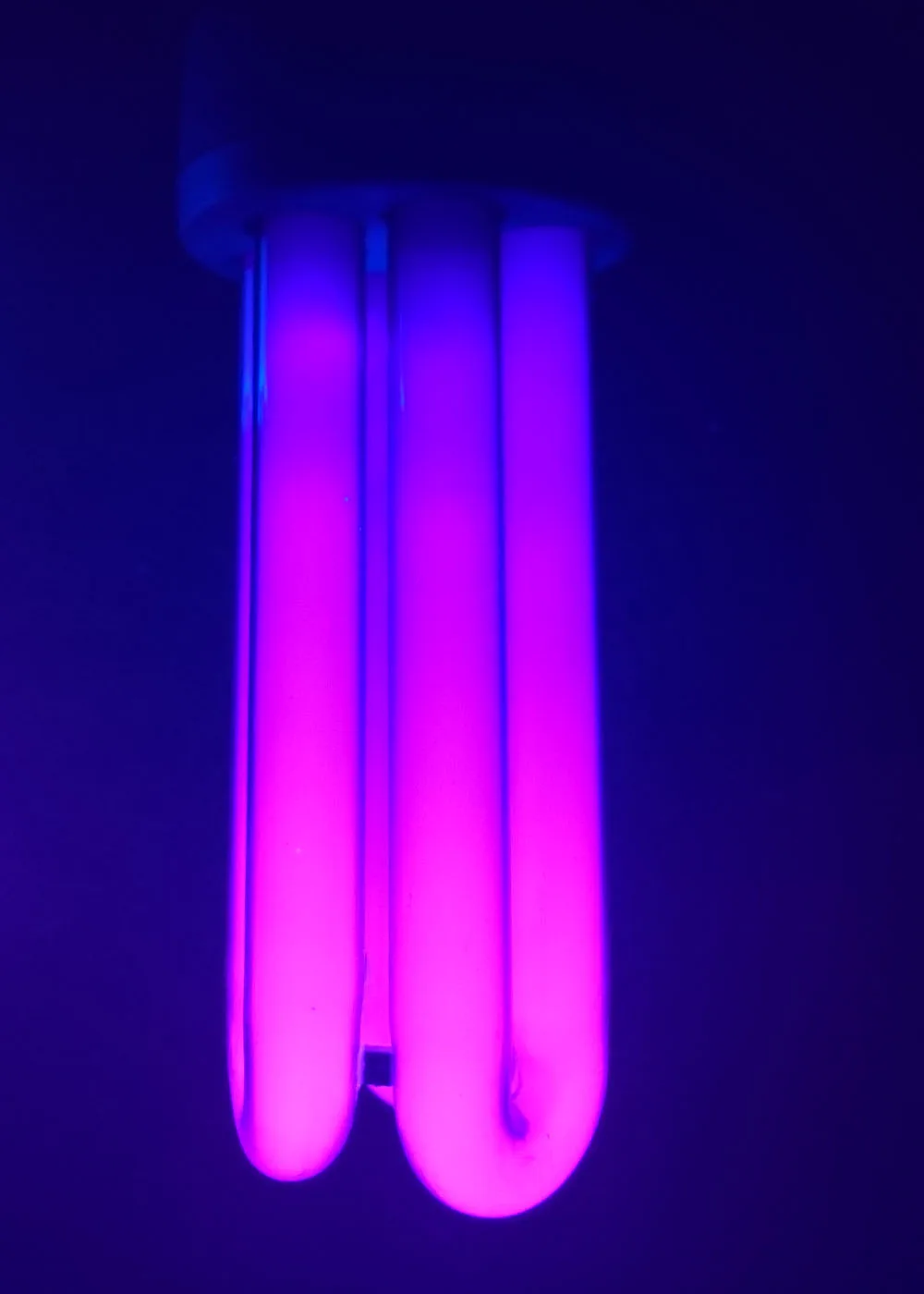 Bombilla Fluorescente compacta de Luz Negra Azul, CFL Ahorro de Energía