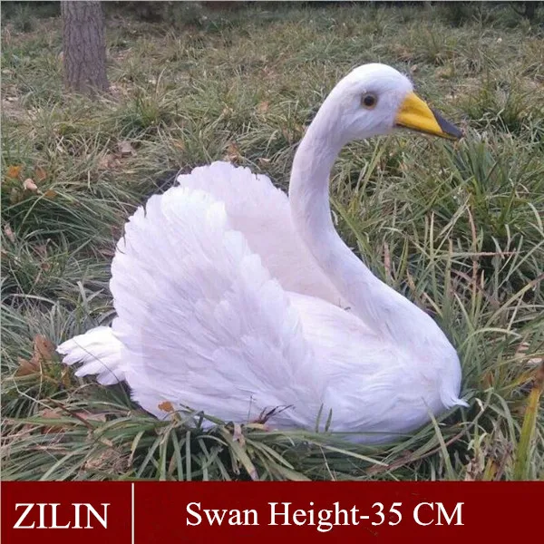35cm _