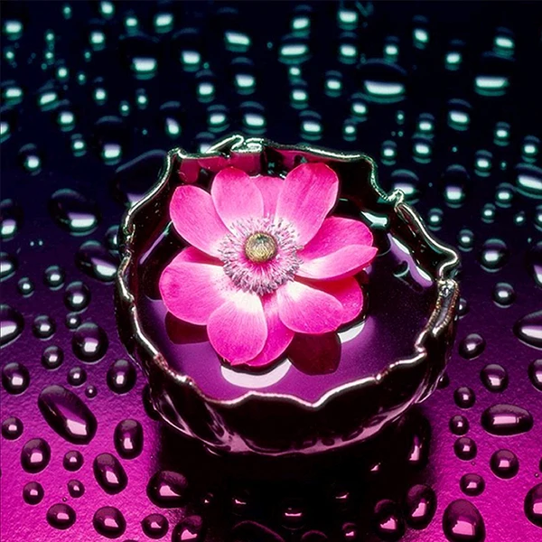 5D DIY цветы алмазные кроющие Полный Круглый diy набор для картин из алмазов наборы для вышивки крестом Рукоделие мозаика - Цвет: 10