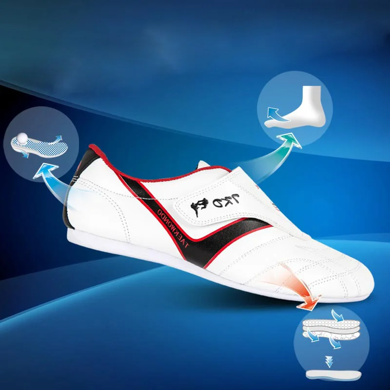 Taekwondo shoes 2