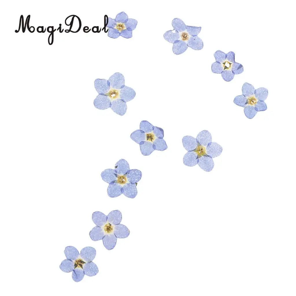 20pcs Natural Real Forget-me-not Flowers Pressed Dried Flowers Embellishments for Art Craft Jewelry Making