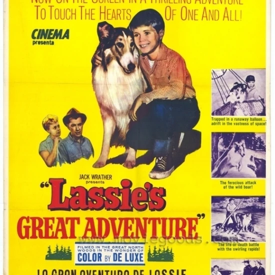 Lassie's Great Adventure Movie Poster (27 x 40)