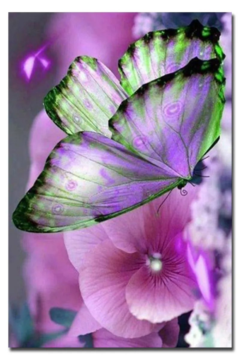 Diamond embroidery square butterfly and purple flowers kits for